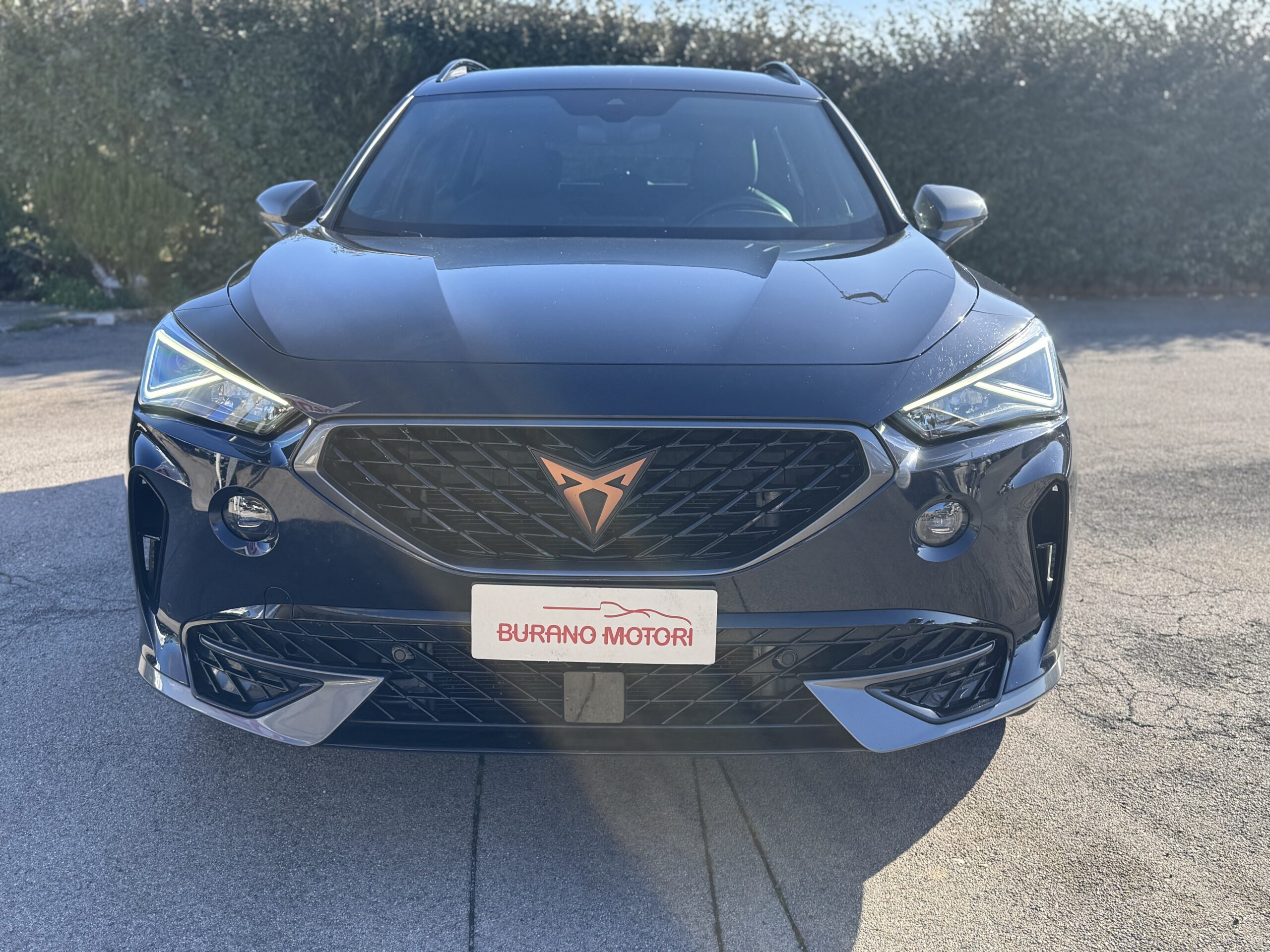 CUPRA FORMENTOR 2.0 TDI - immagine 3