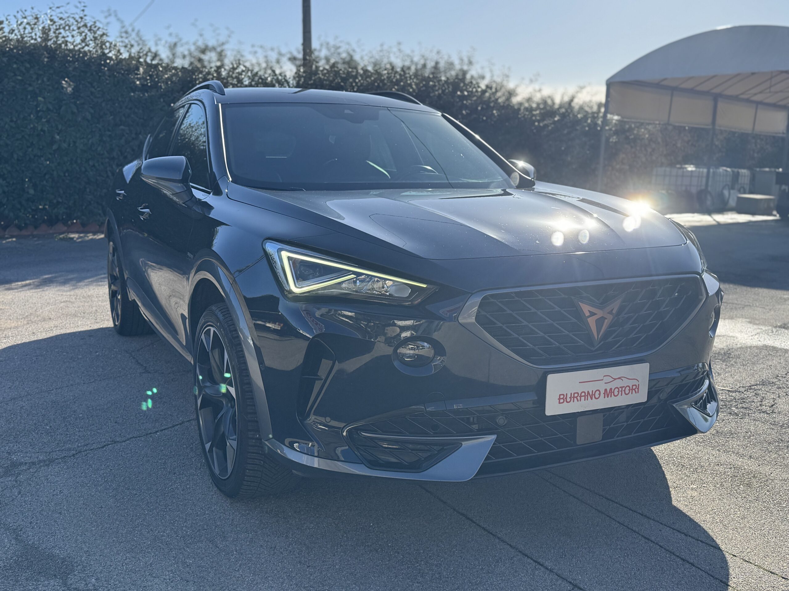 CUPRA FORMENTOR 2.0 TDI - immagine 4