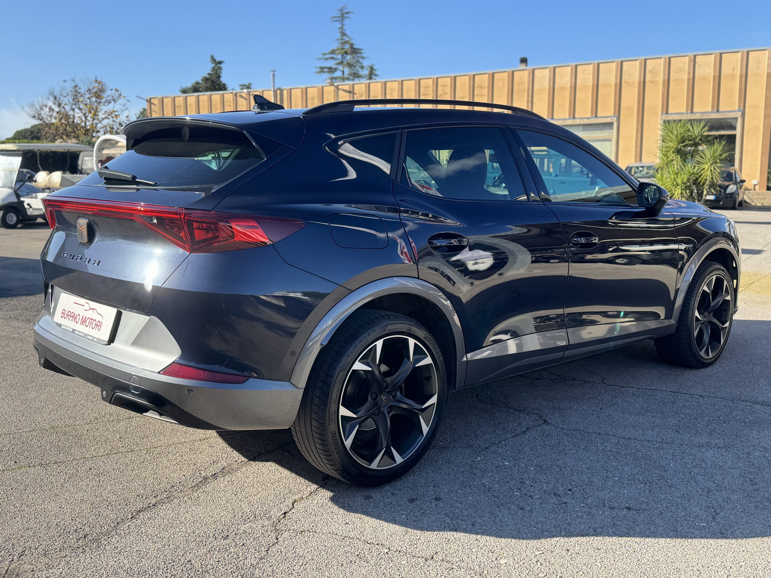 CUPRA FORMENTOR 2.0 TDI - immagine 5