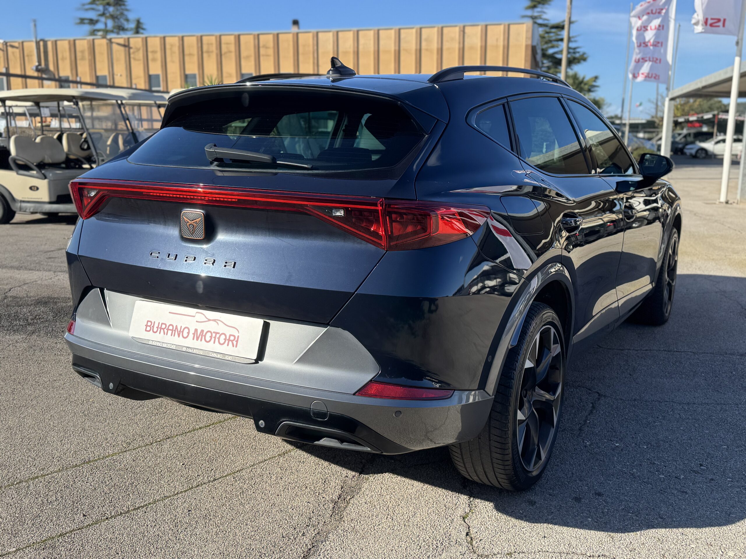 CUPRA FORMENTOR 2.0 TDI - immagine 6