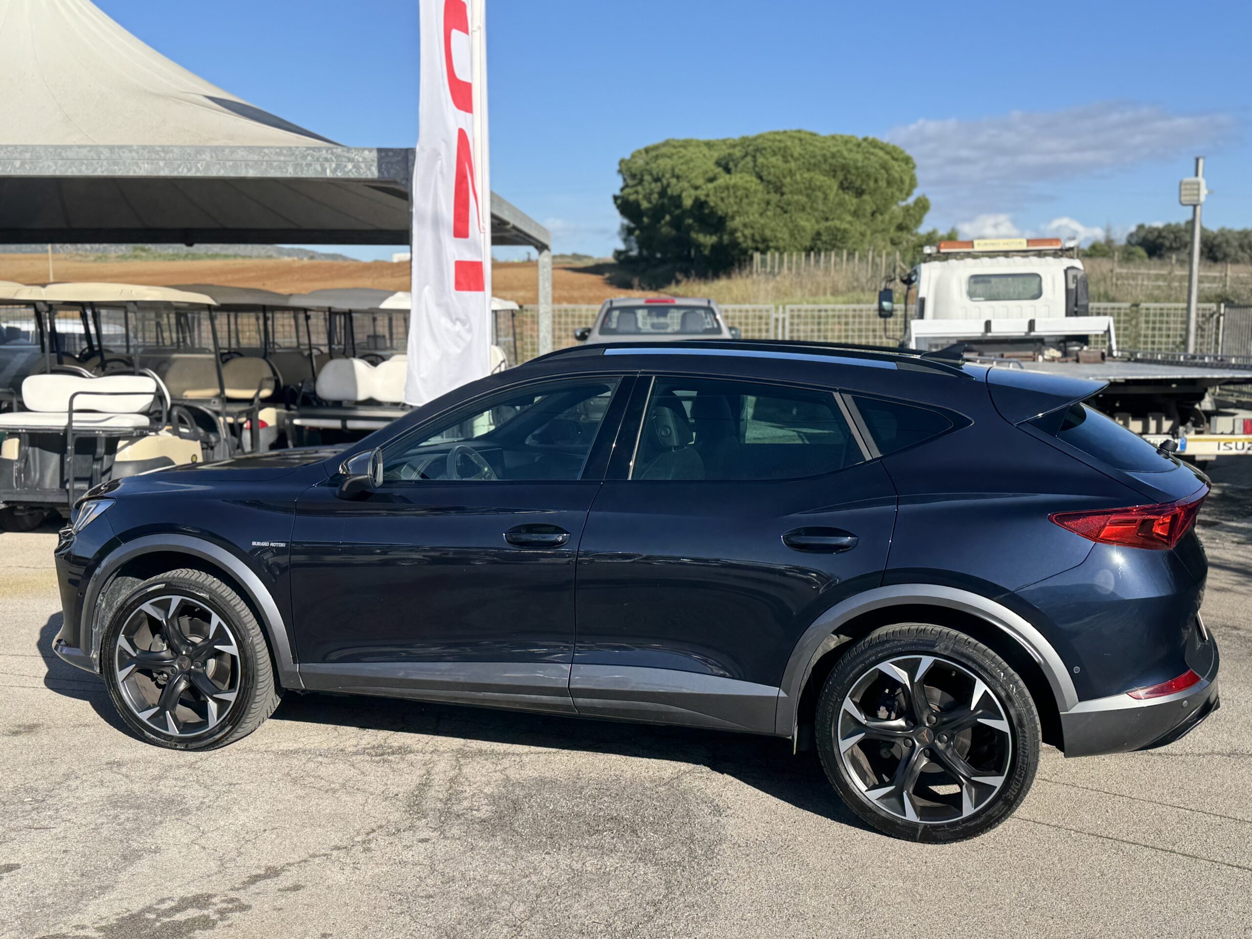CUPRA FORMENTOR 2.0 TDI - immagine 9