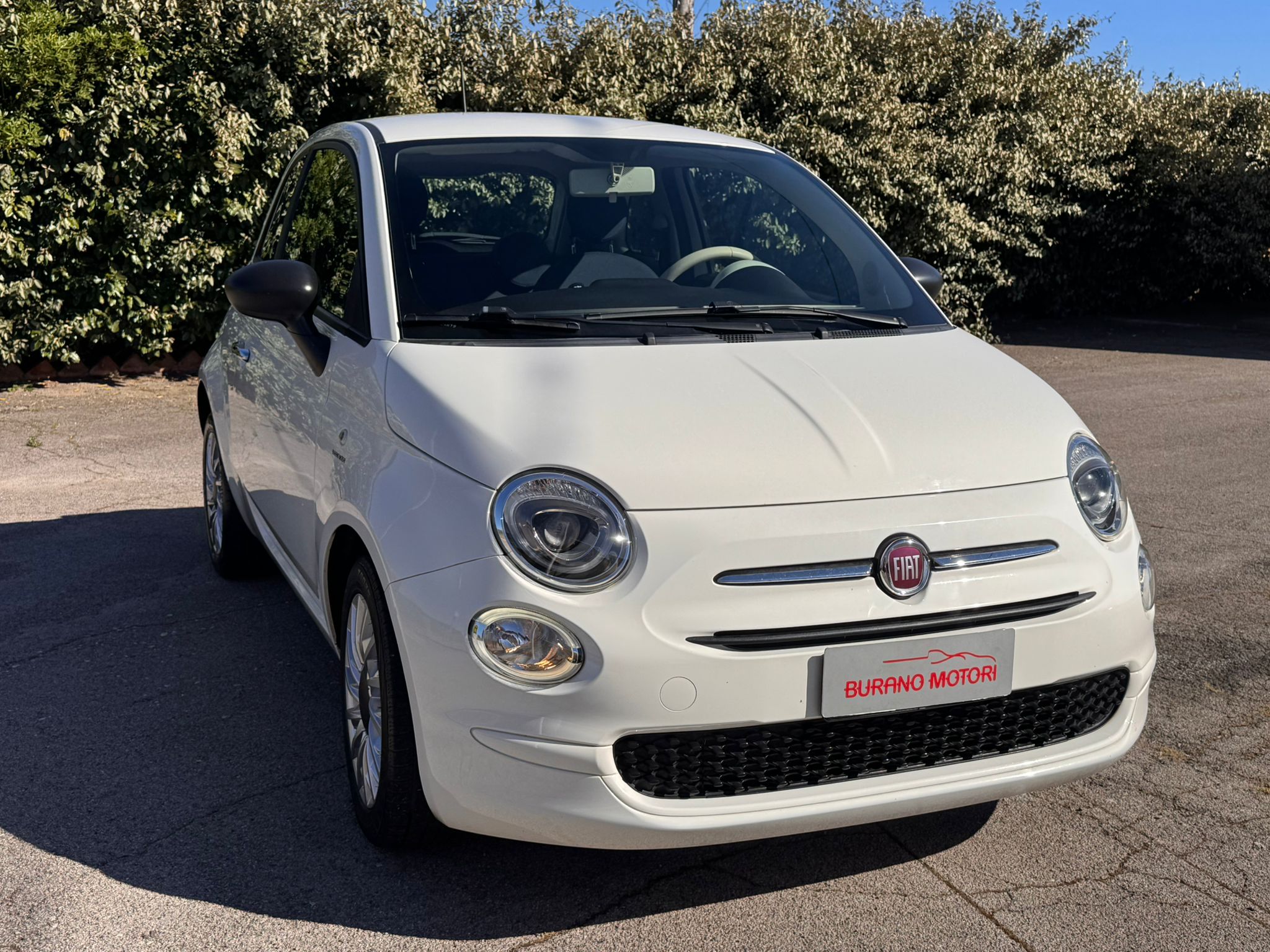 FIAT 500 1.0 HYBRID CULT 70 CV - immagine 2