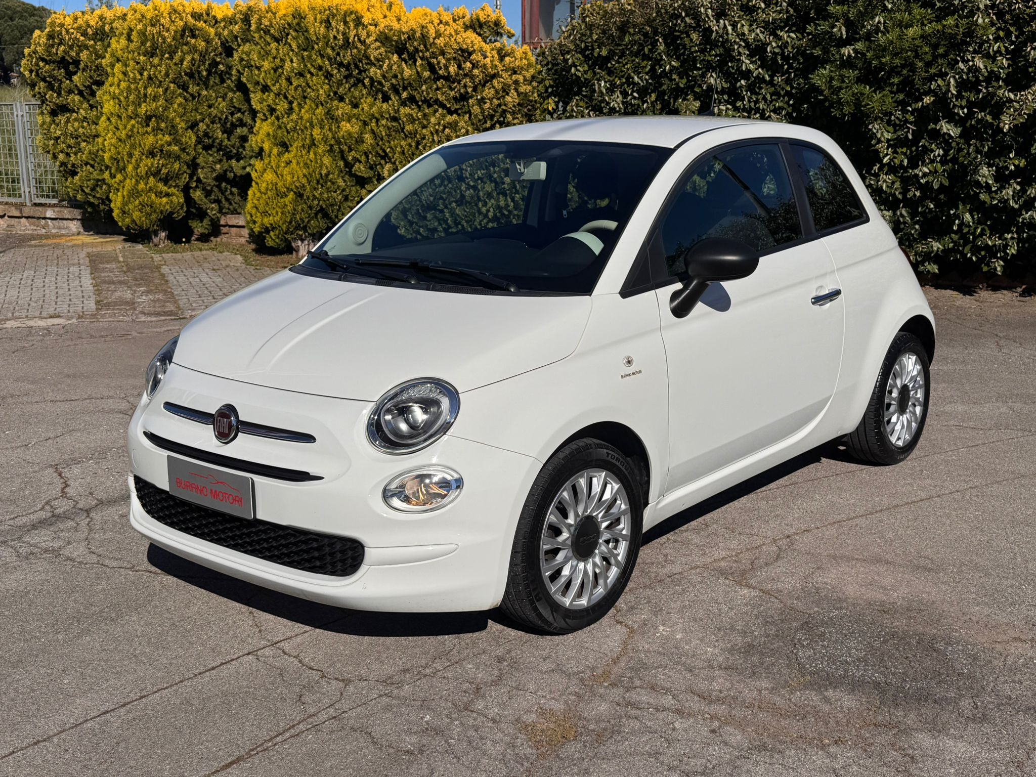 FIAT 500 1.0 HYBRID CULT 70 CV - immagine 3